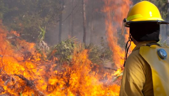 Firefighter battling wildfire as outlined in NFPA 1143-2014