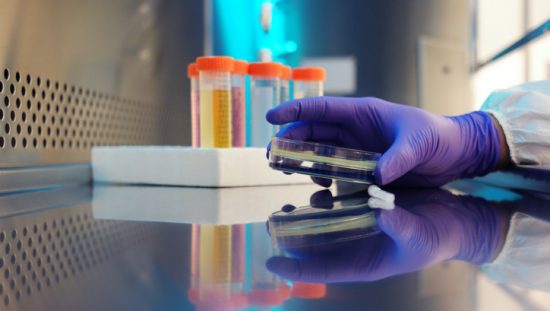 NSF/ANSI 49-2019 Biosafety Cabinetry: Design, Construction, Performance, And Field Certification