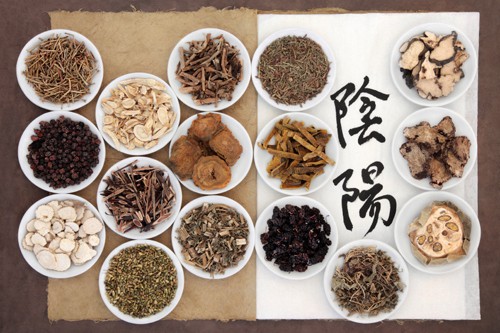 Traditional Chinese Medicine (TCM) in the Western World
