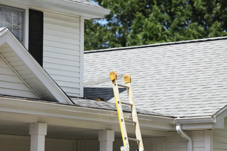 A plastic ladder that follows ANSI ASC A14.5-2017 leans against a white suburban home