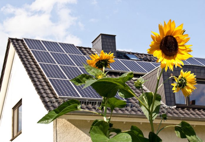 Photovoltaic (PV) panels on roof help provide sustainability leadership with NSF/ANSI 457