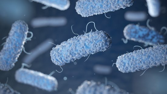 Bacteria ANSI/AAMI/ISO 11737-1 2018