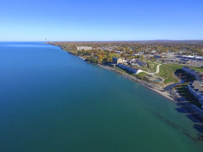 Microcystins Cyanobacteria Lake Erie