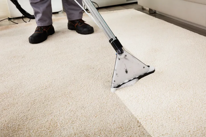 A professional following ANSI/IICRC S100-2015 to clean a carpet.