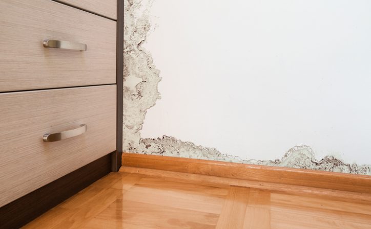 Some serious water damage on wall that needs to be repaired with ANSI/IICRC S500-2021.