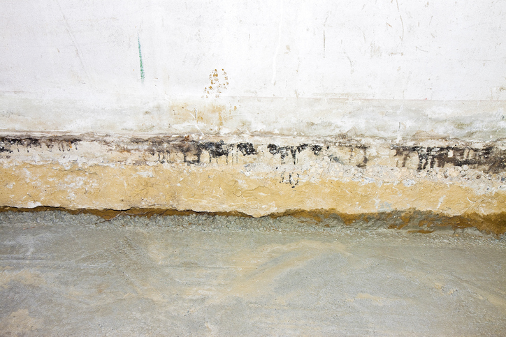 ANSI/AARST MAH-2019: Protocol For Conducting Measurements Of Radon And Radon Decay Products In Homes