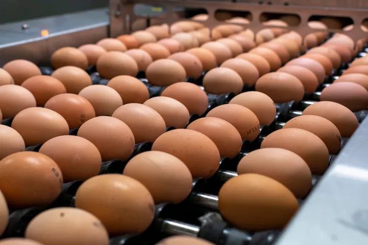 FSMA Certification Body Accreditation for Food Safety Audits for Imports