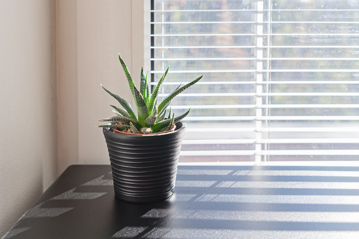 ANSI/ASHRAE 62.1-2019: Ventilation for Acceptable Indoor Air Quality