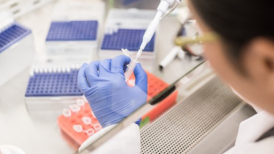 Working with a pipette in a Class II biosafety cabinet to NSF/ANSI 49-2019