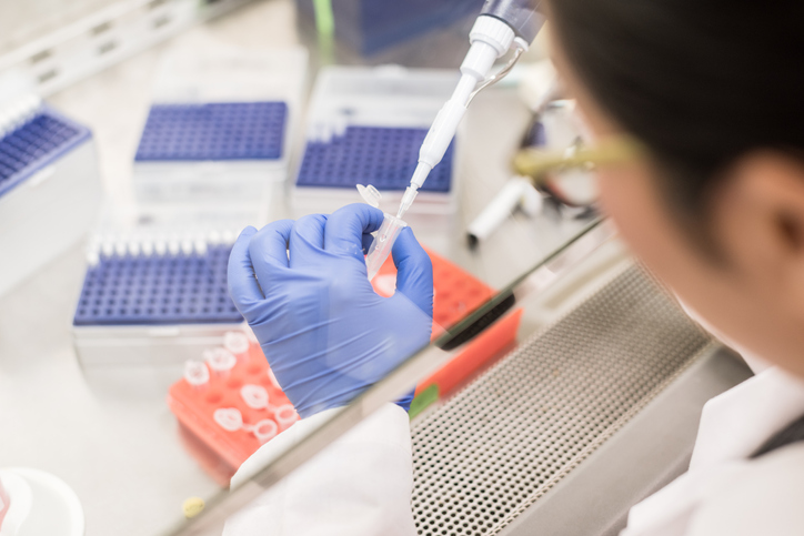 Working with a pipette in a Class II biosafety cabinet to NSF/ANSI 49-2019