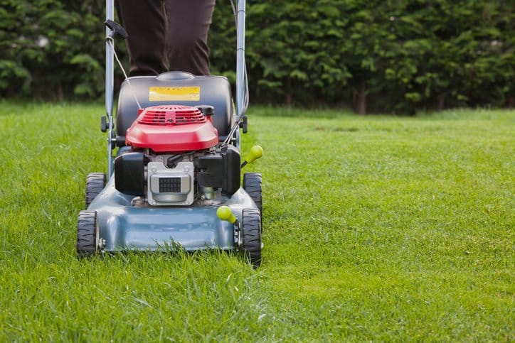 Lawn Mower Pushing an ANSI/OPEI B71.1-2017 pedestrian controlled lawnmower over half-cut grass.