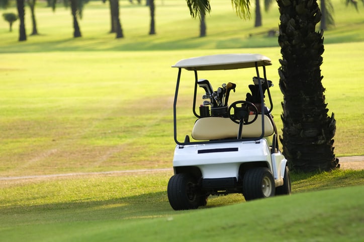 A golf cart on the green taking a break under a palm tree while following ANSI/OPEI Z130.1-2020.