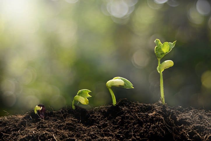 Sprouting Even the smallest green plant, or enterprise, can sprout with an ISO 14001:2015 Environmental Management System.