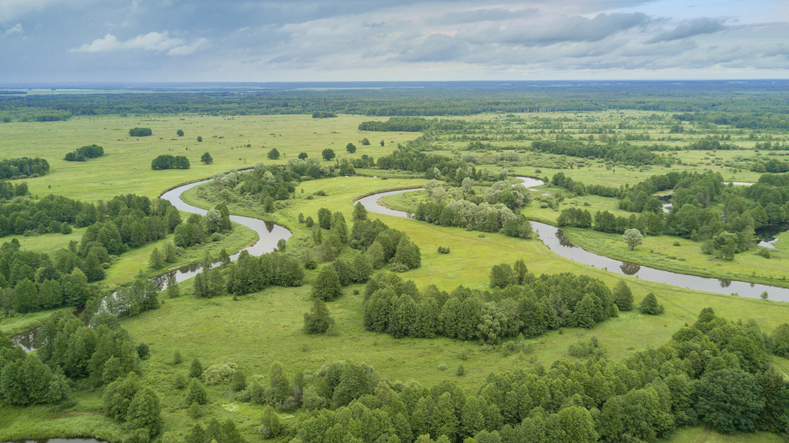 Green forest around the river Neman in Belarus, after which some countries name Germany.