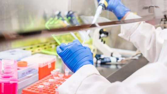 Working with a pipette and colorful materials in a NSF/ANSI 42-2020 Class II biosafety cabinet.