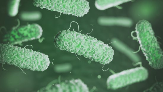 Green Legionella bacteria being prevented in water systems through ANSI/ASHRAE Standard 188-2021.